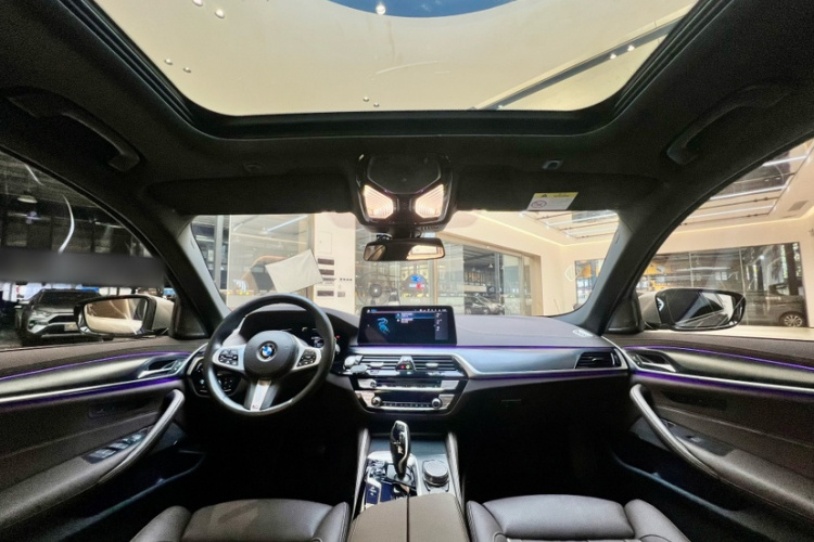 BMW 5 Series New Energy 2021 car image #11