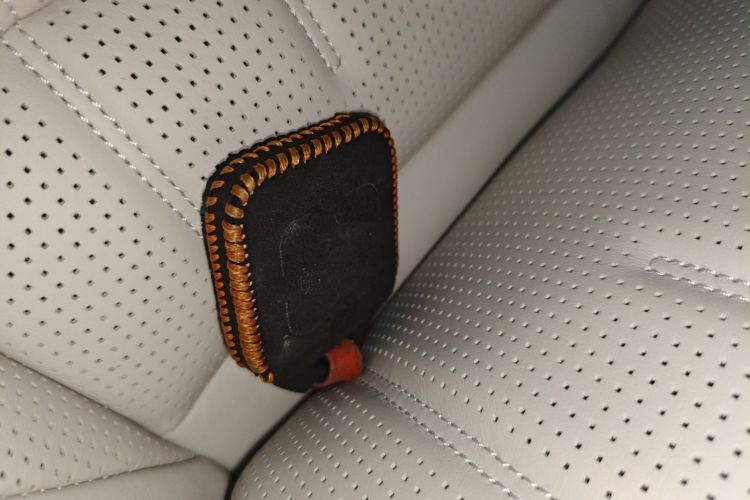 Zeekr 009 2024 imagen de coche #11