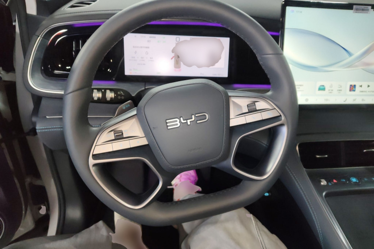 BYD Sea Lion 07 DM-i 2025 car image #11