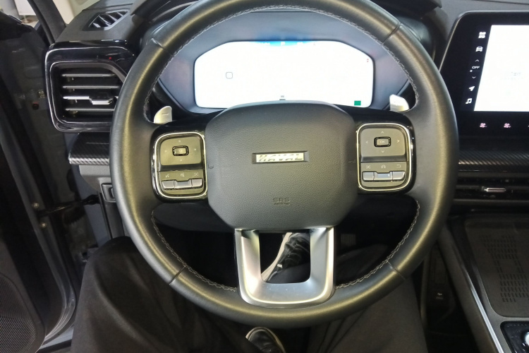 Haval Dargo 2022 car image #11