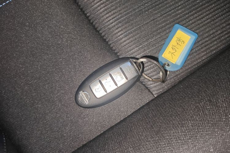 日产 轩逸·纯电 2019 汽车图片 #11