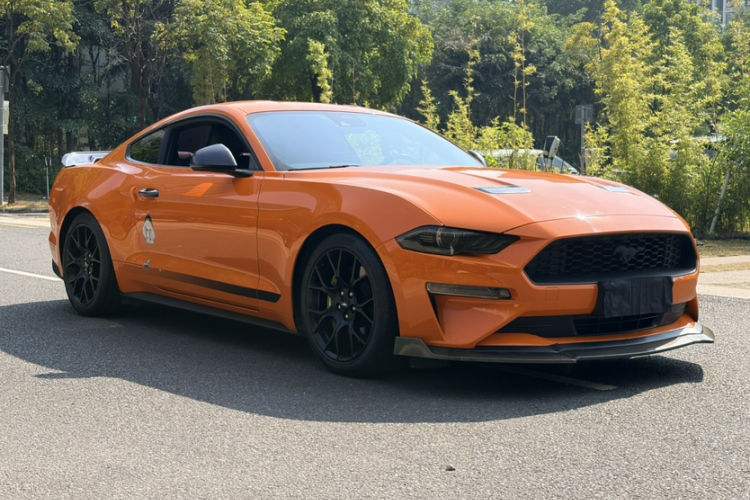 Ford Mustang 2022 #11 Ford Mustang 2022 car image #11