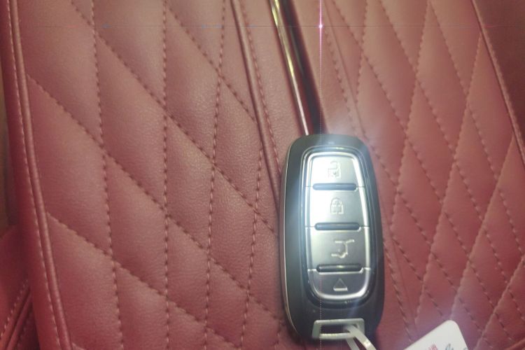 HongQi E-HS9 2021 immagine di auto #11