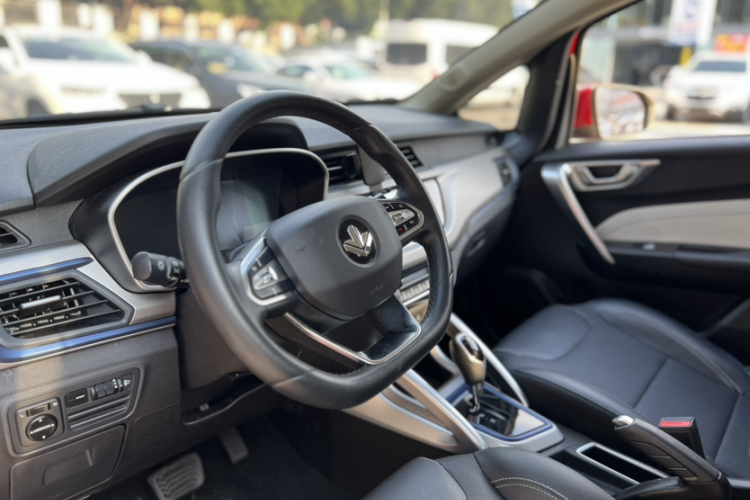 睿蓝汽车 枫叶30X 2021 汽车图片 #11