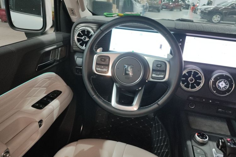 Tank 300 New Energy 2024 car image #11