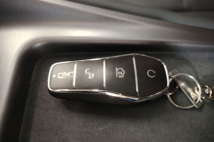 BYD Sea Lion 07 DM-i 2025 car image #11