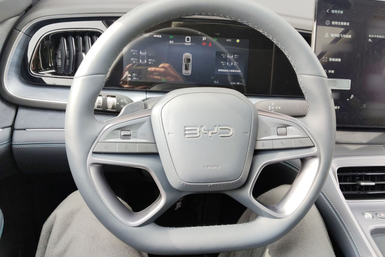 BYD Sea Lion 07 DM-i 2025 car image #11