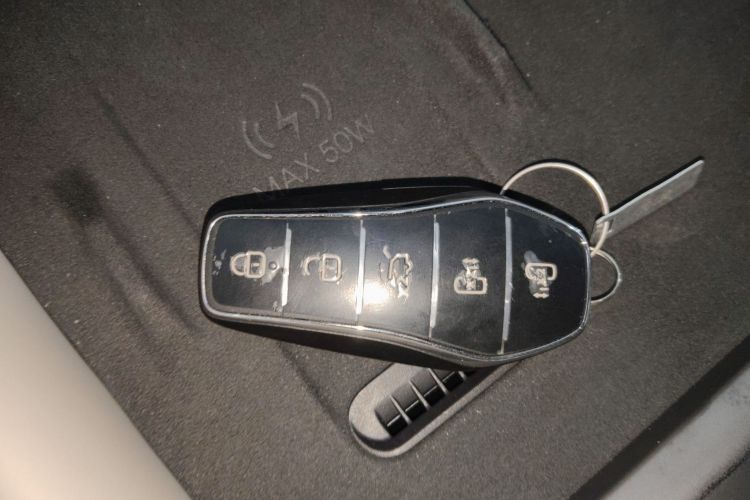 BYD Xia 2024 car image #11