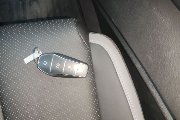 BYD Sea Lion 05 DM-i 2025 car image #11