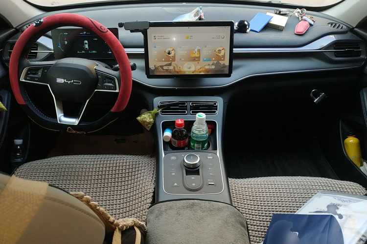 BYD Destroyer 05 2024 car image #11