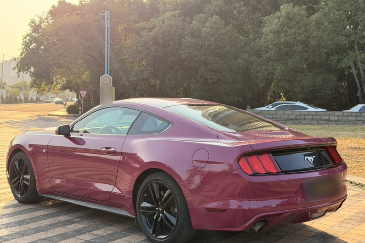 Ford 2015 car image #11
