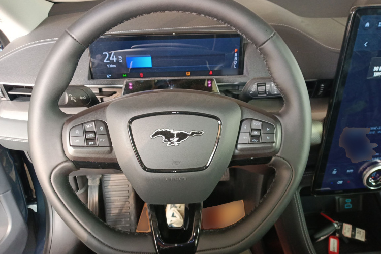 Ford Mustang Mach-E 2023 car image #11