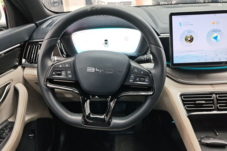 BYD Song Plus New Energy 2023 car image #11