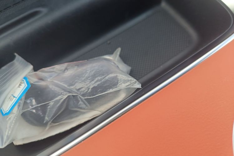 Li L9 2024 imagen de coche #11