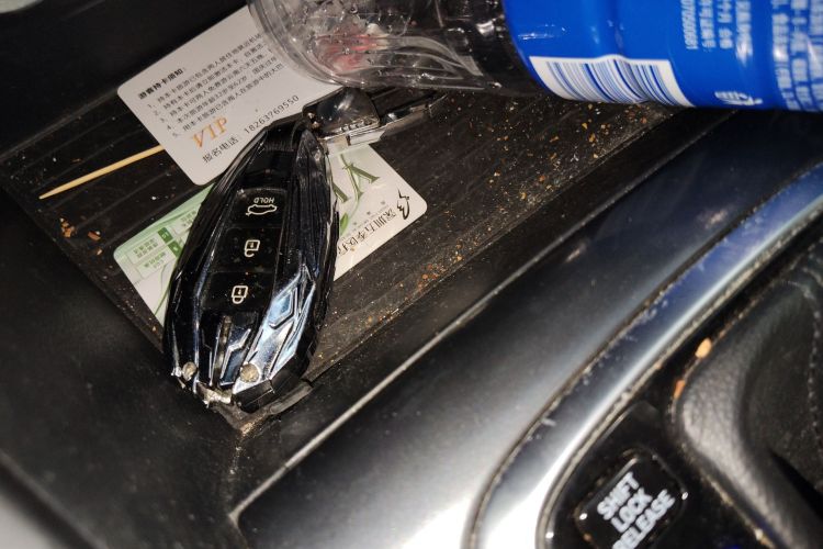 Hyundai Lafesta 2019 car image #11