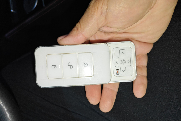 BYD Tang New Energy 2020 car image #11