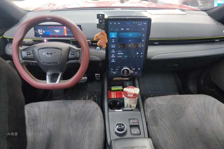 Ford Mustang Mach-E 2024 car image #11