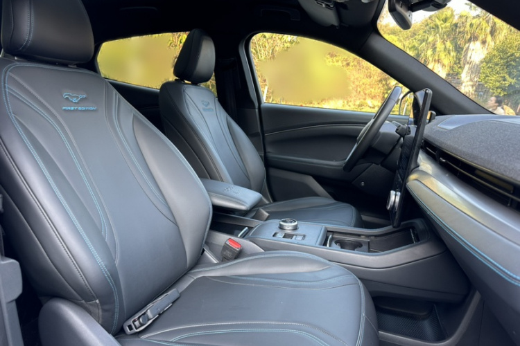 Ford Mustang Mach-E 2022 car image #11