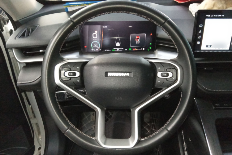 Haval H6 2022 car image #11