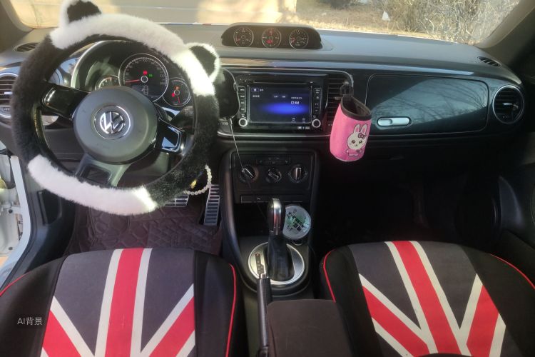 Volkswagen Beetle 2016 #11 Volkswagen Beetle 2016 car image #11
