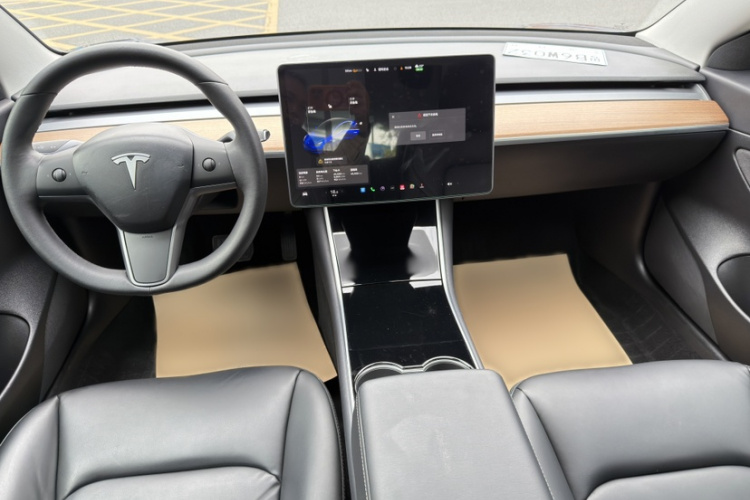 Tesla Model 3 2020 car image #11