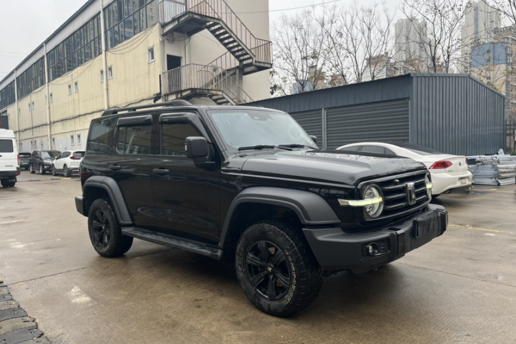 Tank 300 2021 car image #11