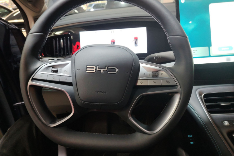 BYD Sea Lion 07 DM-i 2025 car image #11