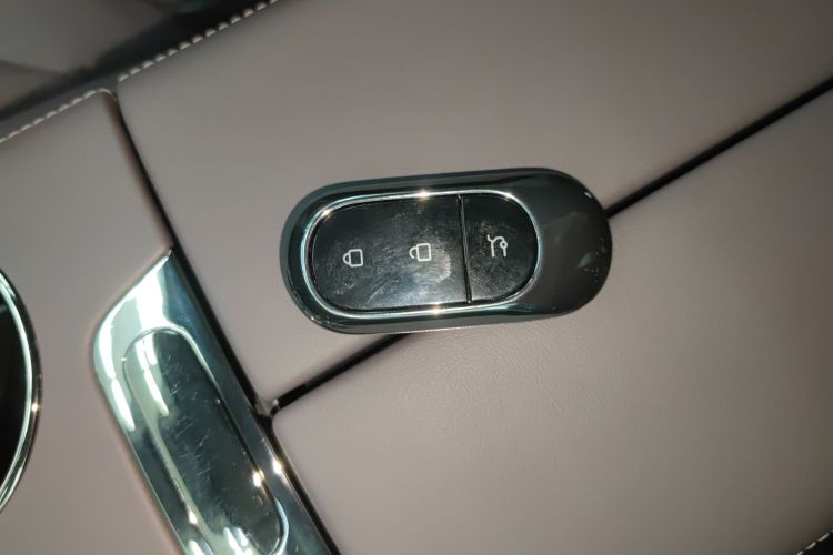 Leapmotor C11 2023 car image #11