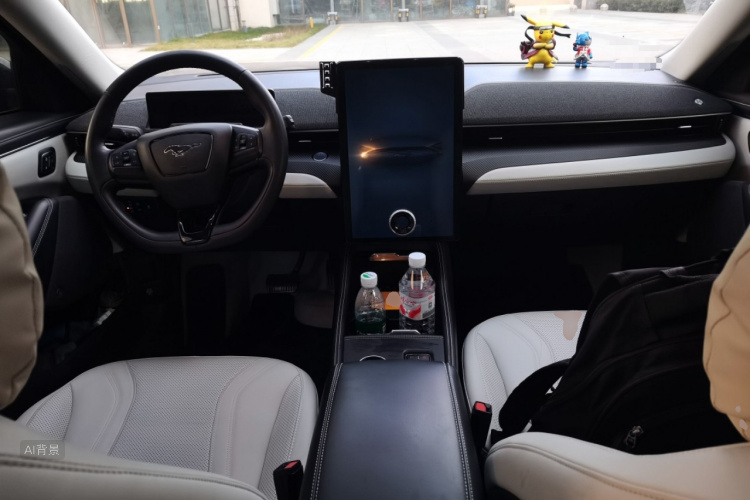 Ford Mustang Mach-E 2023 car image #11