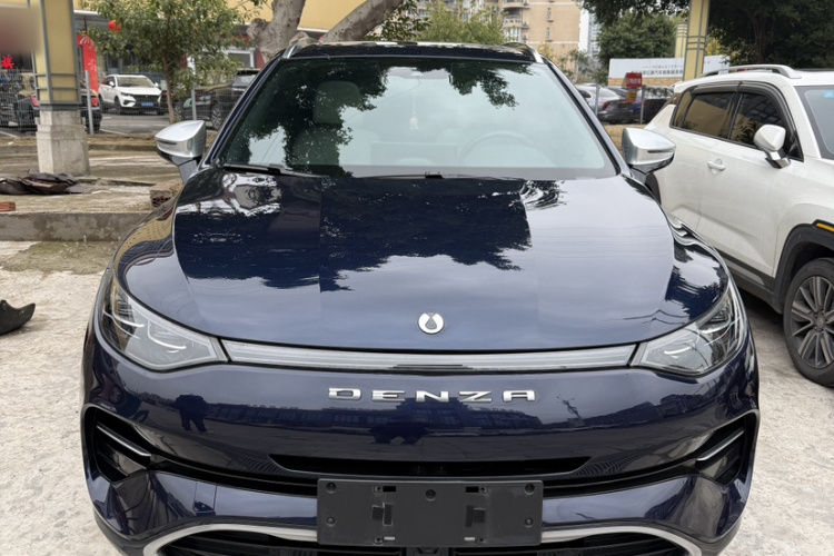 Denza X 2020 car image #11