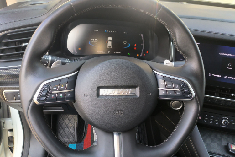 Haval F7x 2020 #11 Haval F7x 2020 car image #11