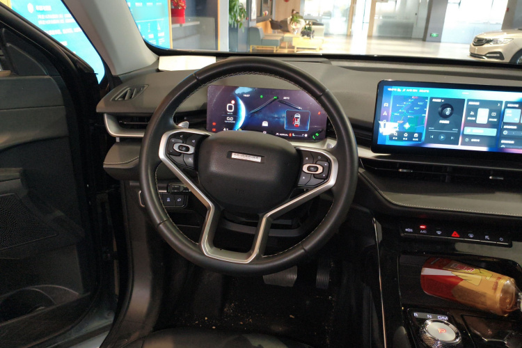 Haval H6 2022 car image #11