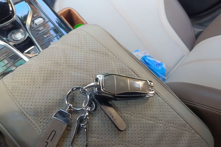 BYD Qin Plus 2024 immagine di auto #11