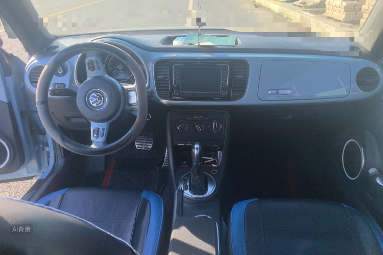 Volkswagen Beetle 2014 immagine di auto #11