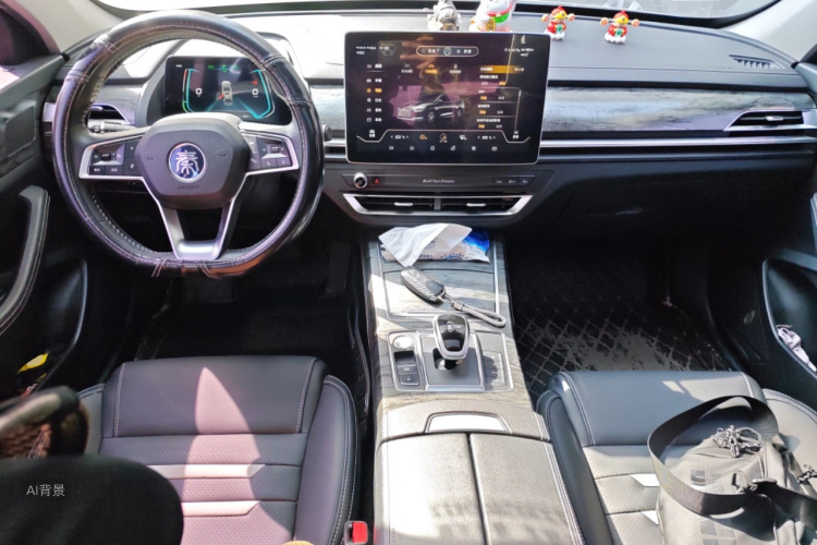 BYD Qin Pro New Energy 2019 #11 BYD Qin Pro New Energy 2019 car image #11