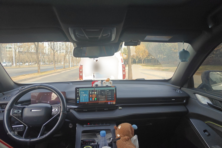 Haval H6S 2022 car image #11