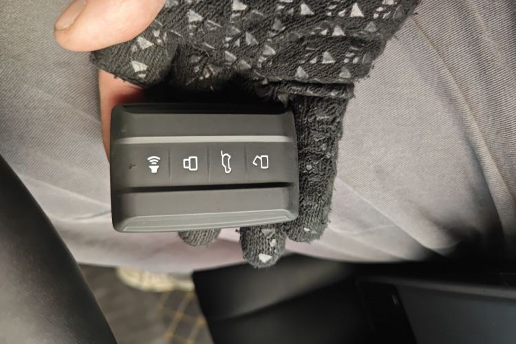 Tank 300 New Energy 2024 car image #11