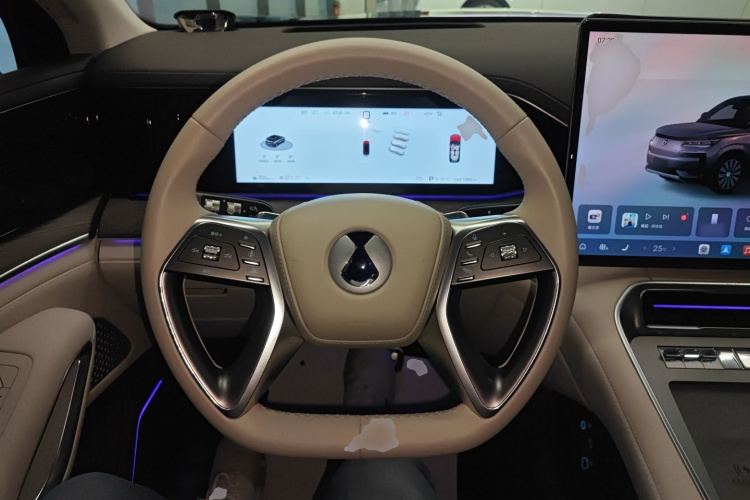 Denza N9 2025 car image #11