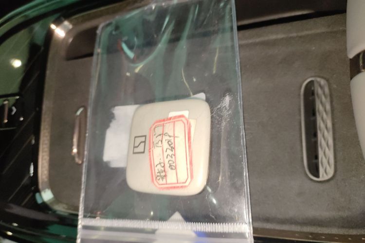 极氪 极氪MIX 2024 汽车图片 #11