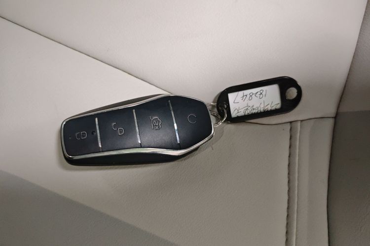 BYD Yuan Pro 2023 immagine di auto #11