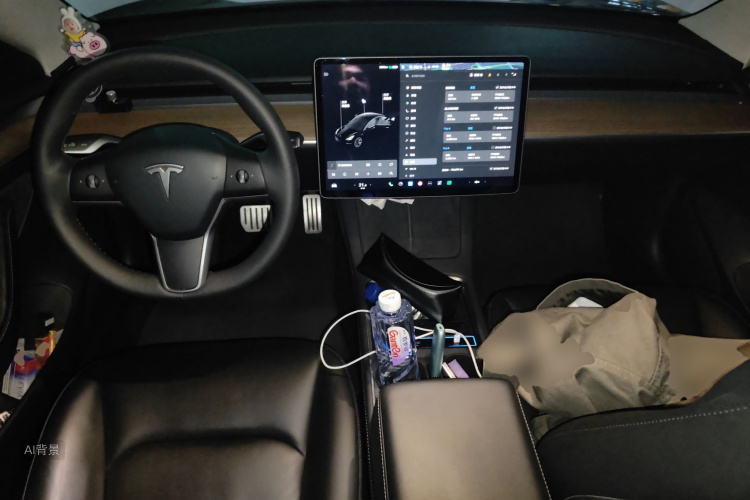 Tesla Model 3 2021 car image #11