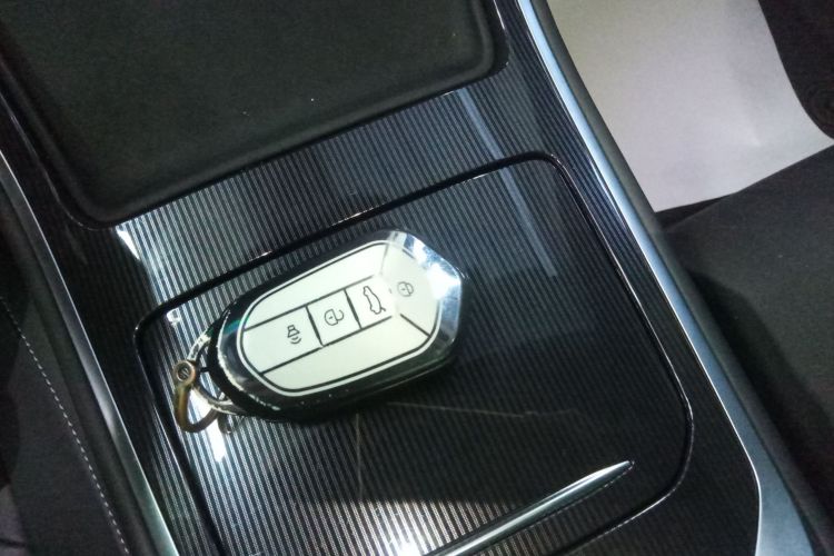 Livan 7 2025 imagen de coche #11