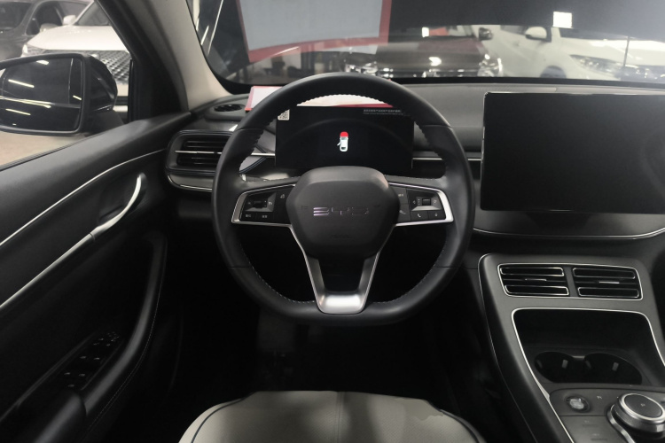 BYD Destroyer 05 2024 car image #11
