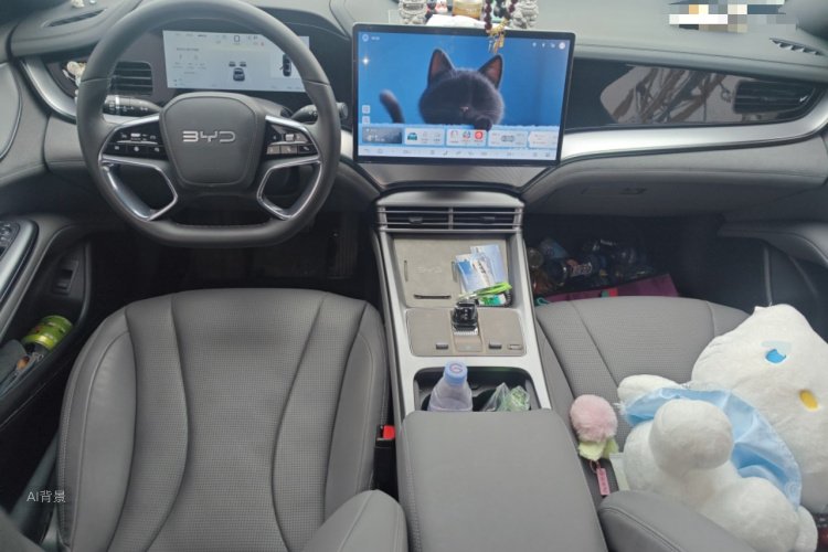 BYD Seal 07 DM-i 2025 car image #11