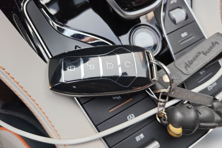 BYD Song Plus New Energy 2023 car image #11