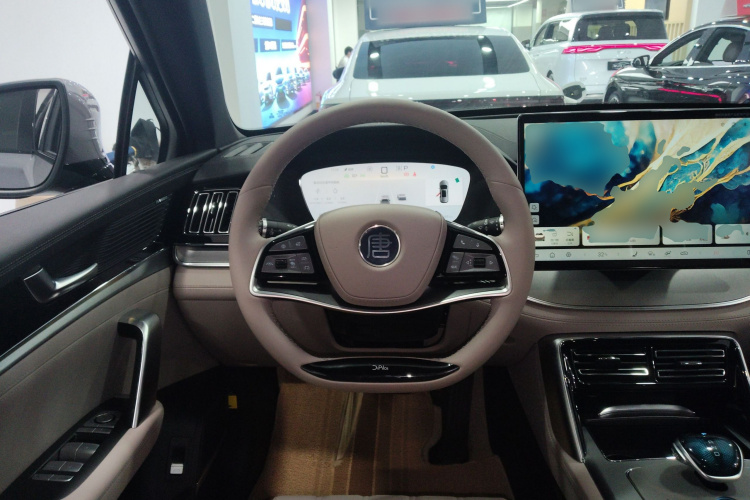 BYD Tang New Energy 2024 car image #11