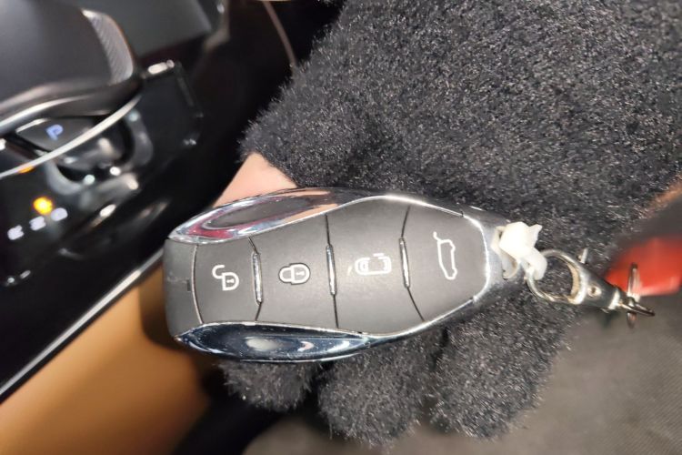 HongQi HQ9 PHEV 2024 #11 HongQi HQ9 PHEV 2024 car image #11