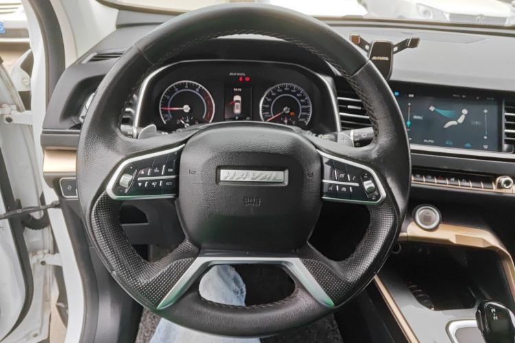 Haval H6 2019 car image #11