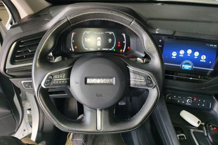 Haval F7 2019 #11 Haval F7 2019 car image #11