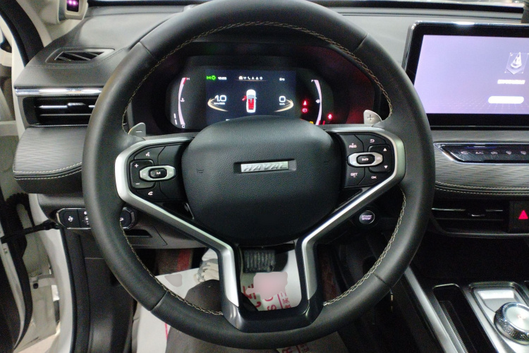 Haval Jolion 2021 imagem de carro #11